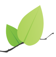 Leaflet